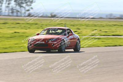 media/Feb-25-2024-CalClub SCCA (Sun) [[3c767ec4f8]]/Group 7/Race (Start Finish)/